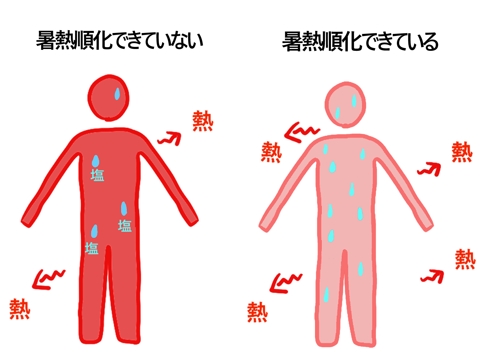 暑熱順化できているときとできていないとき